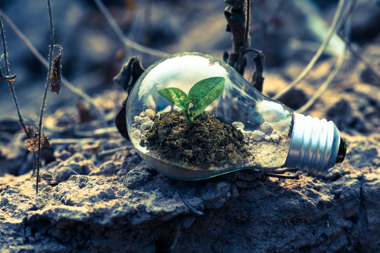 Waste-to-Energy Technology